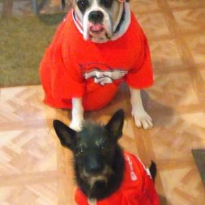 Meet your Posher, Anthony